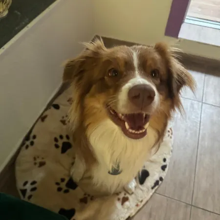 Cafe Graf וויינסברג